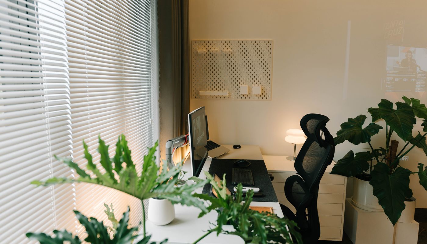 Organised consultation workspace with samples and indoor plants